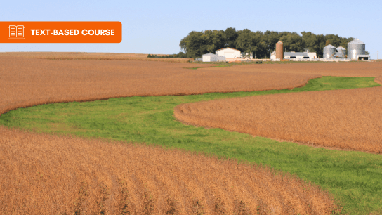 Design of Grassed Waterways