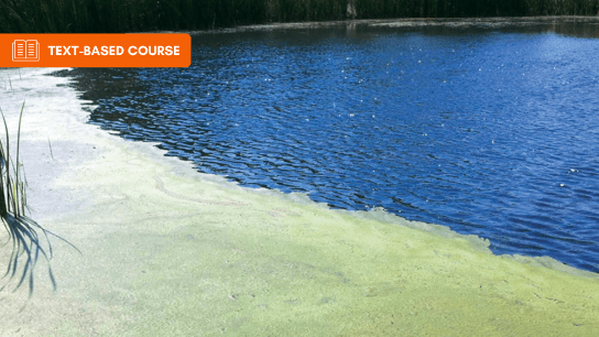 Guide to Embankment and Excavation Pond Systems